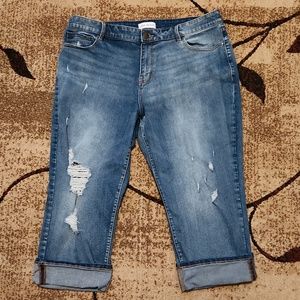 Lane Bryant blue jeans, size 16, clean, only wore a few times.